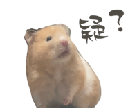 601136997