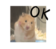 601137001