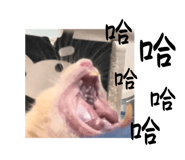 601137002