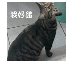 601137063