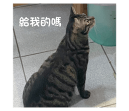 601137064