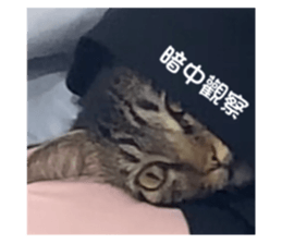 601137072