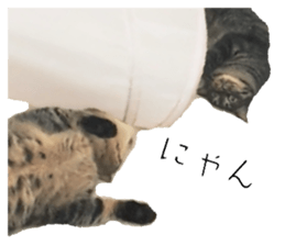 601144269