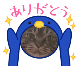 601144281