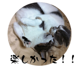 601261369