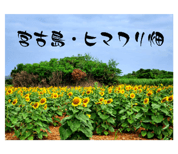601443380