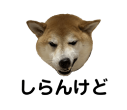 601576386
