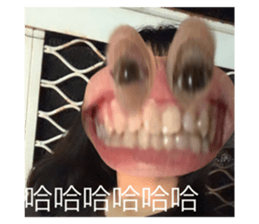 601613779
