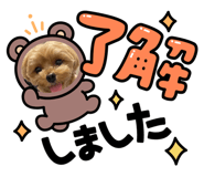 601624183