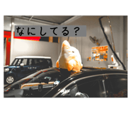 601637725
