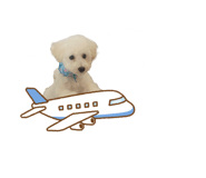 601669116