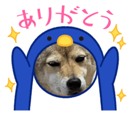 601676923