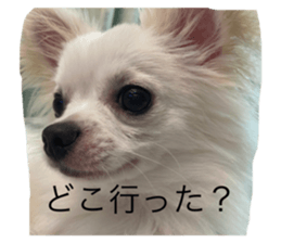 601677217