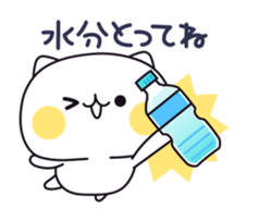 60172455