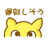 6017627