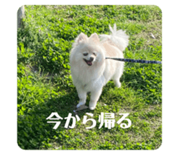 601812316