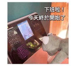 601836773