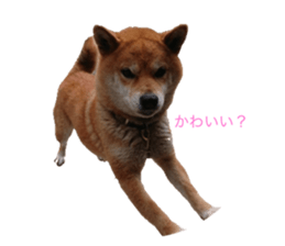 601919281