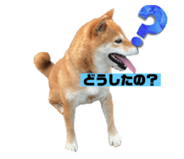 601919282