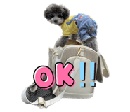 601941106