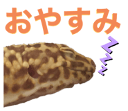 601986088