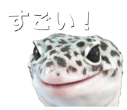 601986090