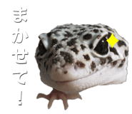 601986091