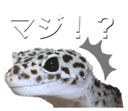 601986092