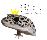 601986093
