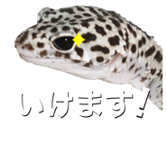 601986094