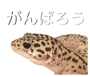 601986095