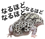 601986096