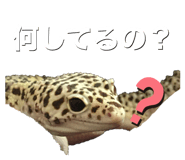 601986097