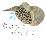 601986099