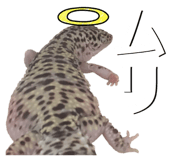 601986100