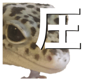 601986101