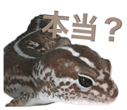601986104
