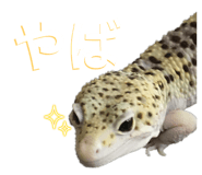 601986110