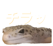 601986112