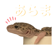 601986113