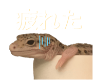 601986114