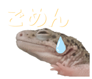601986115