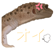 601986116