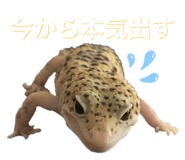 601986117