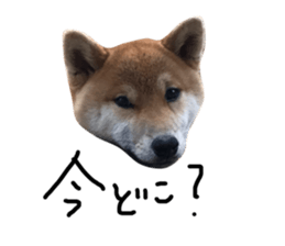 60202406