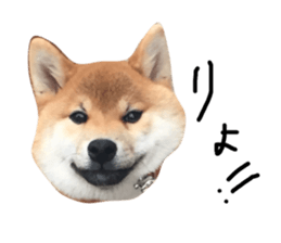 60202410