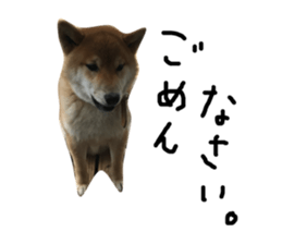 60202416