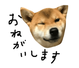 60202417