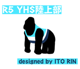 602033725