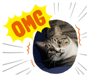 602034219